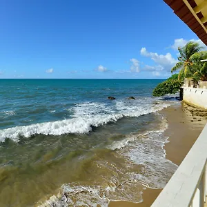 lemon-tree-ocean-front.top-hotels-puertorico.com/